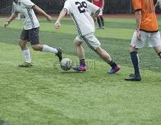 沙特细腻南,美脚法获古,广明赞赏,kaiyun·开云(中国)链接,kaiyun·开云(中国)官网地址,kaiyun·开云(中国)官方平台,kaiyun·开云(中国)入口站点