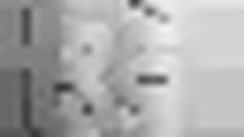 迈凯伦独占F1中国站冠亚军席位。