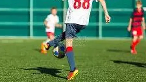 kaiyun·开云（中国）