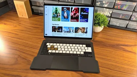 kaiyun·开云（中国）